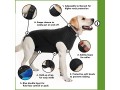 suitical-recovery-suit-dog-large-black-small-1