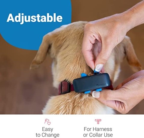 tractive-gps-dog-4-rubber-clips-x3-blue-big-4