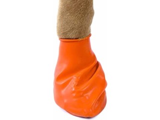 Pawz Orange Water-Proof Dog Boot, X-Small, Up to 2-Inch
