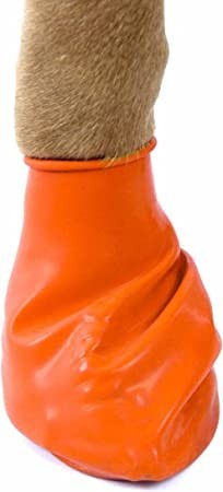 pawz-orange-water-proof-dog-boot-x-small-up-to-2-inch-big-0