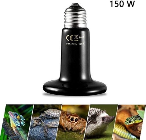 terrarium-reptile-heat-bulb-terrarium-reptile-heat-lamp-big-1