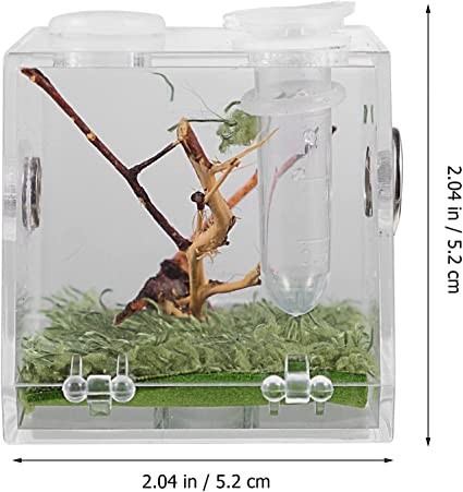 villcase-reptile-breeding-box-clear-acrylic-pet-terrarium-transparent-case-with-pipette-and-tongs-for-spider-lizard-scorpion-3-pieces-big-4