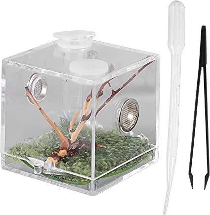 villcase-reptile-breeding-box-clear-acrylic-pet-terrarium-transparent-case-with-pipette-and-tongs-for-spider-lizard-scorpion-3-pieces-big-1