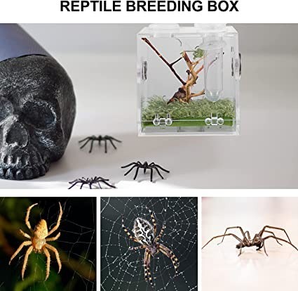 villcase-reptile-breeding-box-clear-acrylic-pet-terrarium-transparent-case-with-pipette-and-tongs-for-spider-lizard-scorpion-3-pieces-big-2