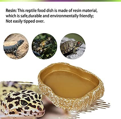 mikqky-2-pieces-water-and-food-bowl-for-reptiles-reptile-bowl-big-2