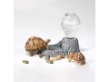 fddd-food-bowl-rock-reptile-feeder-dish-hamster-water-dispenser-small-4