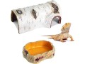 reptile-growth-reptile-skins-and-caves-small-0