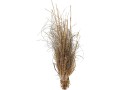 lucky-reptile-dlg-01-grass-bundle-approx25-40-cm-small-1