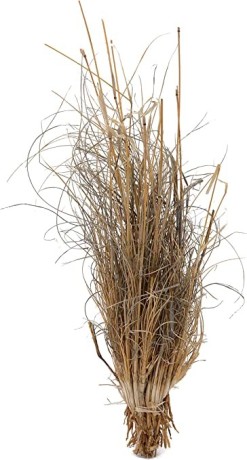 lucky-reptile-dlg-01-grass-bundle-approx25-40-cm-big-1