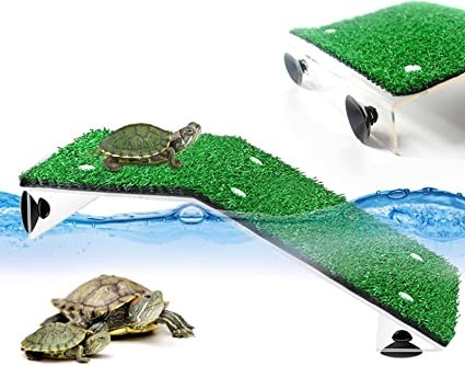 roseflower-turtle-floating-platform-big-1