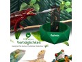 neptonion-hookable-chameleon-feeding-bowl-beetle-bar-with-column-for-prey-to-climb-and-move-small-1