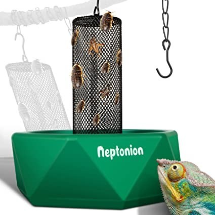 neptonion-hookable-chameleon-feeding-bowl-beetle-bar-with-column-for-prey-to-climb-and-move-big-0