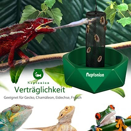 neptonion-hookable-chameleon-feeding-bowl-beetle-bar-with-column-for-prey-to-climb-and-move-big-1