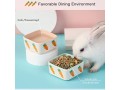 janyoo-rabbit-accessories-feeding-bowl-ceramic-guinea-pigs-dry-food-water-duo-bowl-hedgehog-hamster-things-small-blue-and-pink-small-2