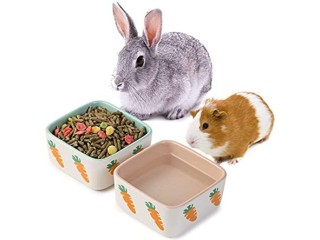 JanYoo Rabbit Accessories Feeding Bowl Ceramic Guinea Pigs Dry Food Water Duo Bowl Hedgehog Hamster Things Small Blue and Pink
