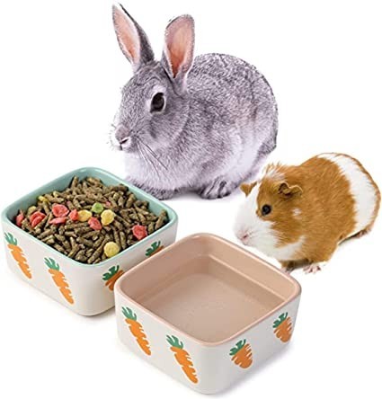 janyoo-rabbit-accessories-feeding-bowl-ceramic-guinea-pigs-dry-food-water-duo-bowl-hedgehog-hamster-things-small-blue-and-pink-big-0