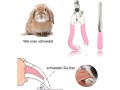 rabbit-grooming-brush-small-pet-hair-brush-kit-rabbit-brush-massage-brush-bunny-nail-clippers-small-pet-grooming-brush-kit-for-cats-small-1