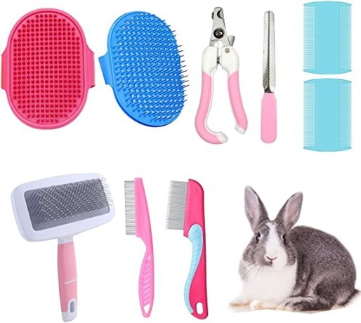 rabbit-grooming-brush-small-pet-hair-brush-kit-rabbit-brush-massage-brush-bunny-nail-clippers-small-pet-grooming-brush-kit-for-cats-big-2