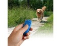 professional-dog-whistle-clicker-training-for-pets-with-hand-strap-trainer-with-key-chain-training-tool-for-dogs-accessories-for-pets-pink-small-3