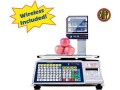 visiontechshop-dlp-300-label-printing-scale-pole-display-3060lbs-capacity-001002lbs-ntep-legal-for-trade-small-2