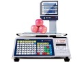 visiontechshop-dlp-300-label-printing-scale-pole-display-3060lbs-capacity-001002lbs-ntep-legal-for-trade-small-0