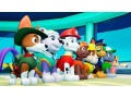 paw-patrol-on-a-roll-nintendo-switch-small-0