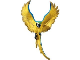 Design Toscano Flapping Macaw Bird Tropical Decor Wall Sculpture, 16 Inch, Polyresin, Full Color