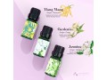 asakuki-essential-oils-gift-set-essential-oils-for-diffusers-pure-fragrance-oils-small-2