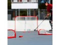 franklin-sports-nhl-pro-commander-street-hockey-puck-1-pack-red-small-0