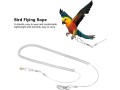 bird-flying-rope-anti-bite-parrot-bird-flying-training-rope-leash-pet-kits-accessories-6m-bird-harness3-small-2