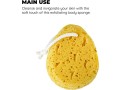 jacent-deep-cleaning-sea-foam-bath-and-body-sponge-1-pack-small-2