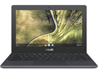 ASUS Chromebook C204EE Rugged & Spill Resistant Laptop, 11.6" HD, 180 Degree, Intel Celeron N4020