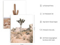 desert-succulent-wall-art-botanical-prints-by-haus-and-hues-set-of-6-southwestern-wall-decor-cactus-art-prints-joshua-tree-wall-art-small-2