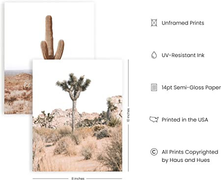 desert-succulent-wall-art-botanical-prints-by-haus-and-hues-set-of-6-southwestern-wall-decor-cactus-art-prints-joshua-tree-wall-art-big-2