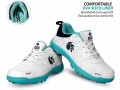 dsc-mens-belter-shoes-cricket-footwear-small-4