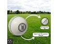 3-pieces-white-synthetic-pvc-cricket-practice-balls-small-3