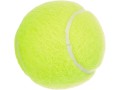 dunlop-fort-all-court-8-x-8-x-275-cm-small-3
