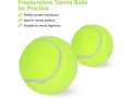 fostoy-palline-da-tennis-confezione-da-18-palline-small-4