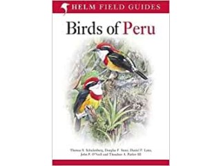 BIRDS OF PERU (HELM FIELD GIIDE) ING Copertina flessibile