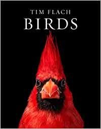 birds-copertina-rigida-11-novembre-2021-big-0