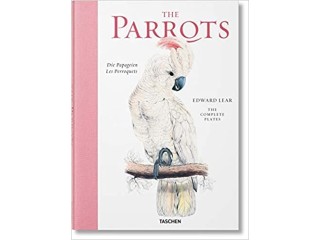 Edward Lear. The parrots Copertina rigida Illustrato, 11 aprile 2018