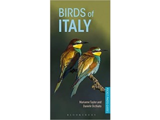 Birds of Italy [Lingua Inglese] Copertina flessibile 3 maggio 2018