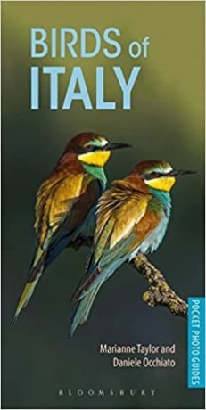 birds-of-italy-lingua-inglese-copertina-flessibile-3-maggio-2018-big-0