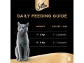 sheba-cat-food-melty-tuna-salmon-flavor-cat-food-small-3