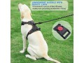 tobedri-no-pull-dog-harness-adjustable-reflective-small-3