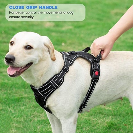 tobedri-no-pull-dog-harness-adjustable-reflective-big-2