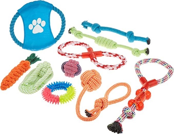 10-pcs-pet-puppy-toys-gift-set-ball-rope-and-chew-squeaky-toys-for-dog-cat-big-0
