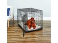 new-world-42-inch-folding-metal-dog-crate-includes-leak-small-0