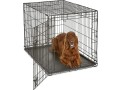 new-world-42-inch-folding-metal-dog-crate-includes-leak-small-4