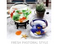 mumoo-bear-fish-tankglass-bubble-bowl-glass-round-small-3